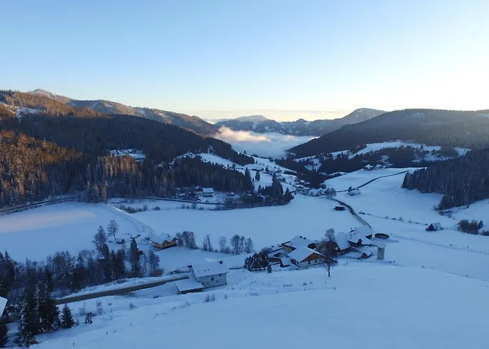 Hébergement de vacances Seeblickhuette Lachtal